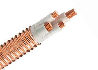 0.6 / 1kV耐火性の送電線、電気ミネラル絶縁されたワイヤー ケーブル